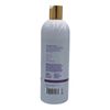 Theorie Balancing Purple Sage Shampoo & Conditioner Set Tone Moisturize Smooth