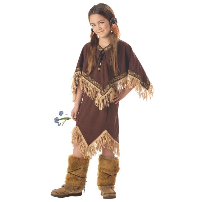 California Costumes Princess Wildflower Indian Girl Child Dress L 10-12 NIP Costume, Brown