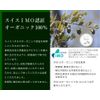 jude plants organic jojoba oil