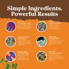 Vegan Vitamin B Complex Liquid - 9-in-1 Liquid B Complex Vitamins 120mL