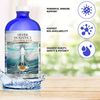 Silver Holistics Real Colloidal Silver Water Liquid Supplement - 16 oz Glass