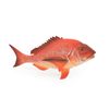 Red Snapper, Fish, Onaga, Rockfish, Realistic Rubber Model, Hand Painted Toy 7"