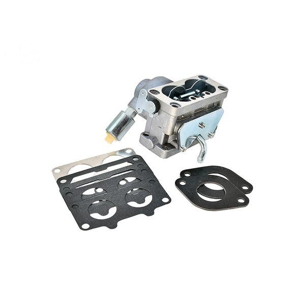 Rotary 17325 Carburetor Fits Briggs & Stratton 796997,