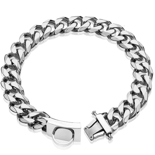 Hundehalsband, Metall, mit sicherer Schnalle, robust, kaufest, für kleine Hunde (19 mm, 30,5 cm)