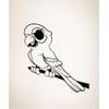 Vinyl Wall Decal Sticker Parrot W/Eye Patch Size 60inX66in Item OS_MB157B