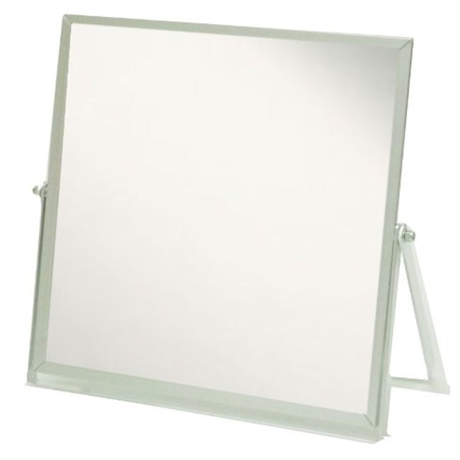 Merry Aluminum Frame Tabletop Stand Mirror Silver 120