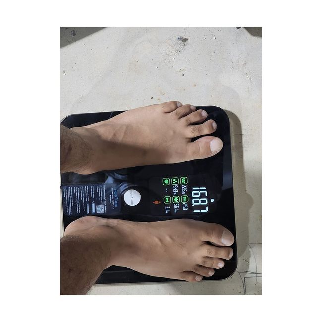 Large Display Body-fat Bathroom Scale