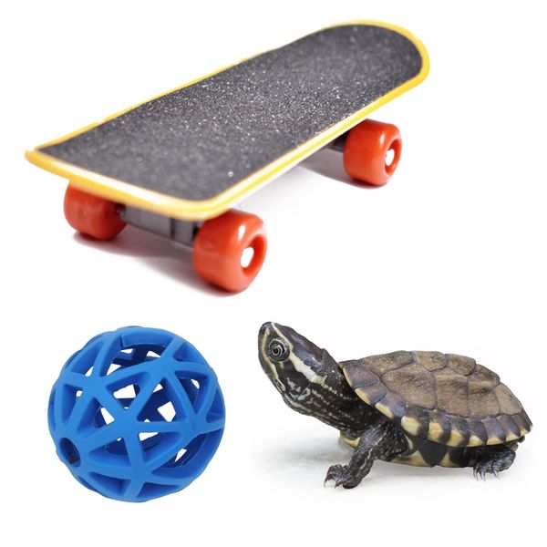 Tortoise Treat Ball And Training Skateboard Toy Set, Turtle Feeder Ball And Funny Skateboard, Tortoise Toy Feeding Balls Vegetable Grass For Small Animals Pets Tortoises Turtles (Blue)