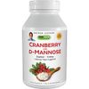 ANDREW LESSMAN Cranberry with D-Mannose – 30 Capsules – Supports Bladder, Kidney and Urinary Tract Health. High Potency Standardized Cranberry Concentrate and D-Mannose. Easy to Swallow Capsules