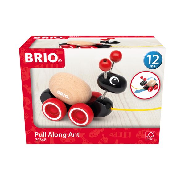 BRIO 30348 Rolling Egg and Ali (Classic) Pull Toy (12 Months and Up)