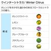 Winter Citrus 50ml Aroma Blend Incent Essential Oil 50ml