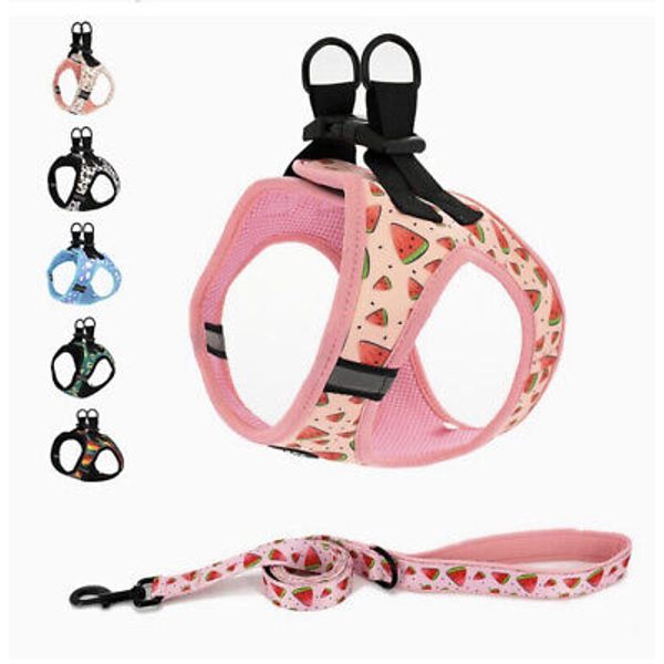 Coowone Step in Dog Harness and Leash Set NWT Medium Pet