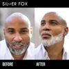 Godefroy Silver Fox Arctic White Brush on Beard Color