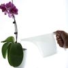 Norpro Measuring Funnel Pitcher, White, 3.5-Cup