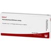 Periodontium/Silicea comp. ampoules 10 x 1 ml