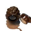 Geocache Geocaching Plastic Small Sized Pine Cone Container Pine Cone Cache 5 cm