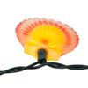 Kurt S. Adler Kurt Adler UL1164 Seashell Mini, 10 Light Set, Multicolored