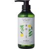 RinRen Remedial Shampoo, Mint & Lemon, 13.5 fl oz (400 ml), Quasi-Drug, Mint & Lemon, 13.5 fl oz (400 ml) (x 1)