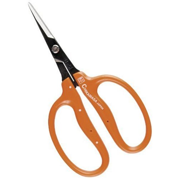 Professional horticultural Flower thinning scissors and vegetables 155mm B-500H