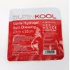 Wallace Cameron 2207003 Astroplast BurnKool Burn Dressing, 10 cm x 10 cm