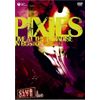 ライヴ・アット・ザ・パラダイス [DVD]
