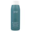 Surface Purify Clarifying Shampoo 8 oz + Purify Travel Size / New 2024 Packaging