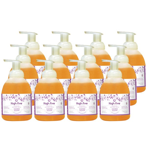 High Five Foaming Premium Hand Soap, 16 oz Pump (Case of 12)