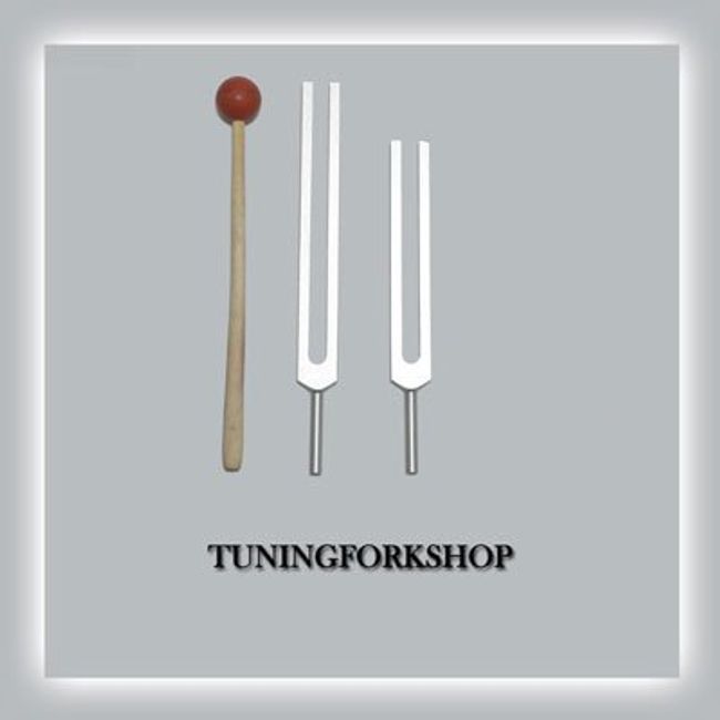 Tuningforkshop C & G Whole Body Tuning Fork Set with Mallet+Pouch+Fast