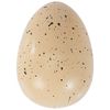 SES 25063 Creative B07MC86CWW Hatching Dinosaur Surprise, Various Colours
