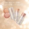 FASIO 109 Flushed Winter Cheeks Multi-Face Stick, Glow, 0.1 oz (4 g)