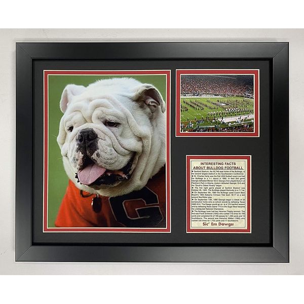 Legends Never Die UGA The Bulldog- Georgia Bulldogs Football Mascot Collectible | Framed Photo Collage Wall Art Decor, white, 11 x 14-Inch