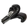 Everlast Pro Style 8-Ounce Training Gloves (Black)