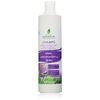 Sanasur Shampoo, Pack of 1 (1 x 1 Item)