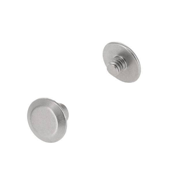 Buckleguy.com Chicago Screws, Flat Cap, Nickel Matte, Solid Brass-LL (50 per bag), Multiple Sizes