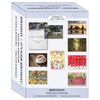 Shared Blessings It’s Your Birthday! 24 Boxed Greeting Cards with KJV Scripture and Envelopes