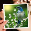 3dRose Greeting Cards - Scrub Jay - 12 Pack - Designs 2016