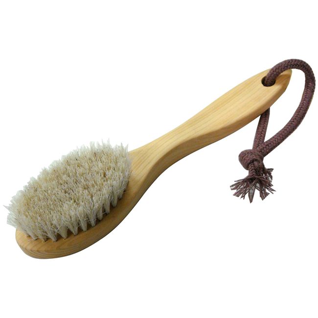 isimizu Face Brush ri-hufeisuburasi 00796 