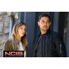 NCIS - Season 16 [6 DVDs]
