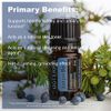 doTERRA Juniper Berry Essential Oil - Supports Healthy Kidney and Urinary Tract Function, Natural Skin Toner, Cleanser, Detoxifying Agent, Calming Effect; for Diffusion, Internal, Topical Use - 5 ml