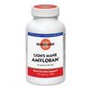 Mushroom Wisdom, Lion's Mane Amyloban, 180 Tablets