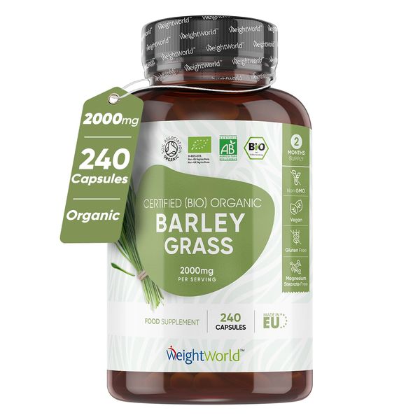 Organic Barley Grass Juice Powder Capsules | 2000mg Per Serving | 240 Barley Grass Powder Capsules | Good Source of Vitamin A, C, K, and B | Non-GMO, Allergen-Free, & Vegan-Friendly