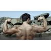 nitric oxide supplement - Nitric Oxide 3150mg - muscle enhancer 3 Bottles