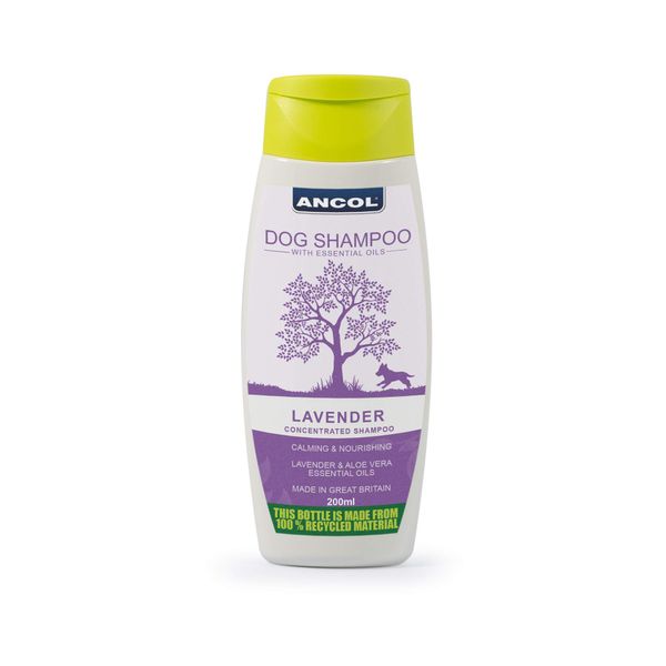 Ancol Lavender Dog Shampoo, clear