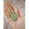 Mugwort Tea