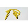 2 Yellow HellHawk Emblems fits Jeep Trackhawk SRT Grand Cherokee wk2 Track Hawk