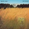 Big Game [180 gm LP Black Vinyl]