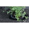 Digger’s 2-Gallon Root Guard Speed Baskets for Plants, Control Gopher for Efficient Planting, 2-Pack