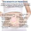 2×Digestive Enzymes w/ Prebiotic&Probiotics, Gas, Constipation & Bloating Relief