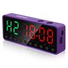 Portable Gym Timer, Interval Fitness Interval Timer (Violet)