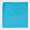 TECHNICALS Suede Microfibre Travel Towel (Medium), Blue, One Size